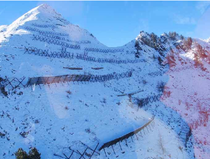 Anti Avalanche
